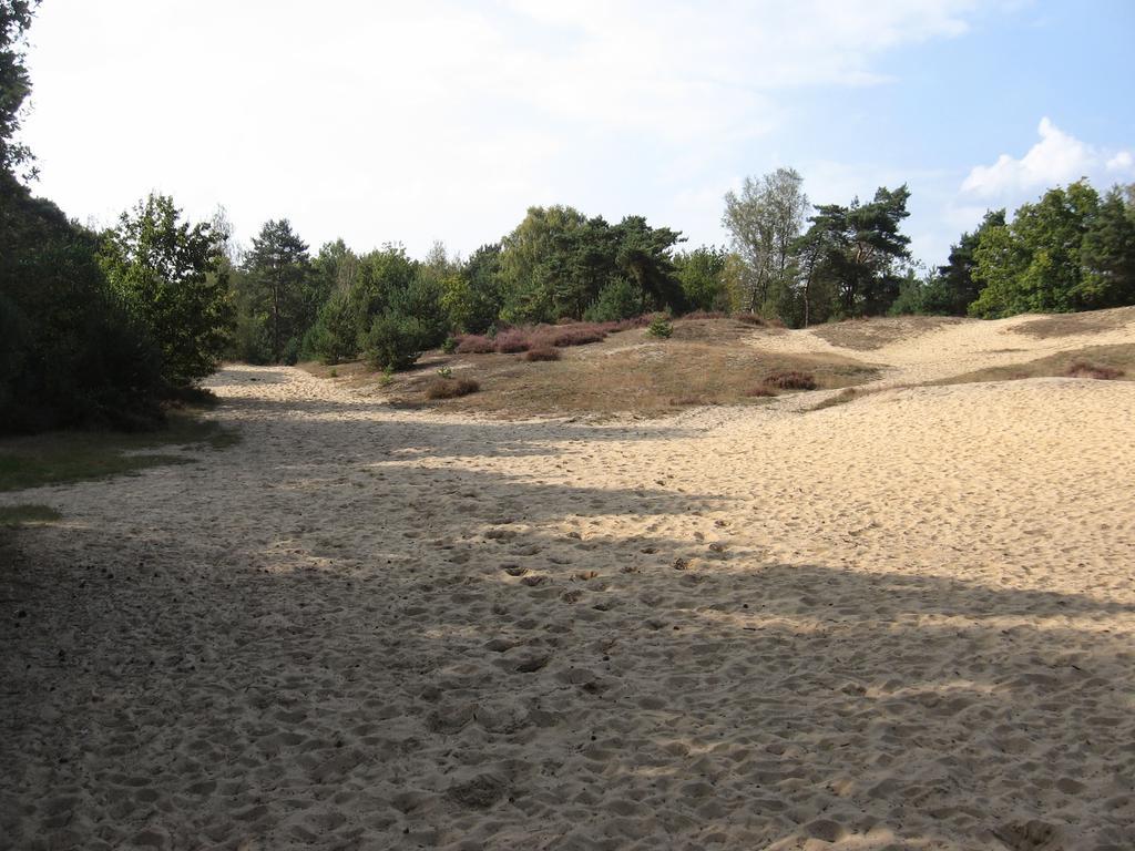 Landhuisjes Bij De Wouterbron Opglabbeek Екстер'єр фото